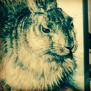 Meet your Posher, Brenna